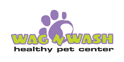 Wag n Wash Logo Design